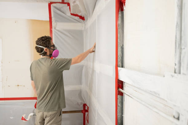 Best Asbestos and Lead Testing During Mold Inspection  in Travelers Rest, SC