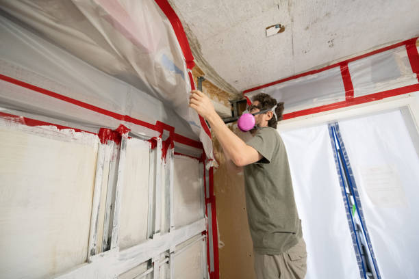 Best Mold Odor Removal Services  in Travelers Rest, SC