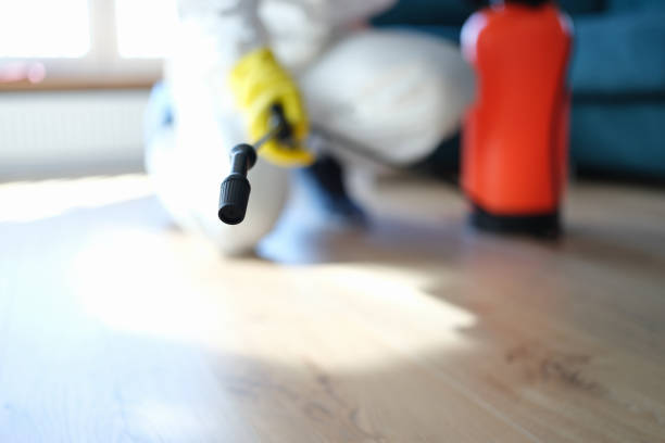 Best Emergency Mold Remediation  in Travelers Rest, SC