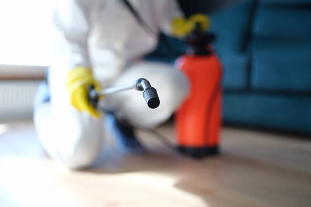 Best Residential Mold Inspection & Testing  in Travelers Rest, SC