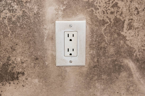 Best Real Estate Mold Inspection  in Travelers Rest, SC