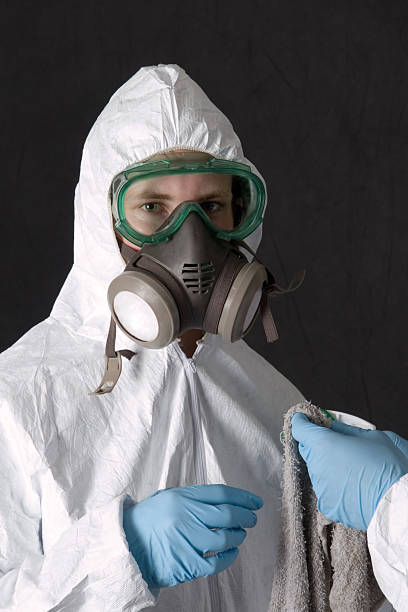 Best Crawl Space Mold Remediation  in Travelers Rest, SC